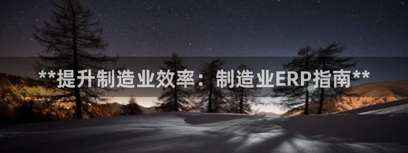 彩神vip购彩大厅在哪：**提升制造业效率：制造业ERP指南**