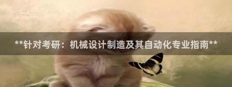 彩神网官网登录：**针对考研：机械设计制造及其自动化专业指南**