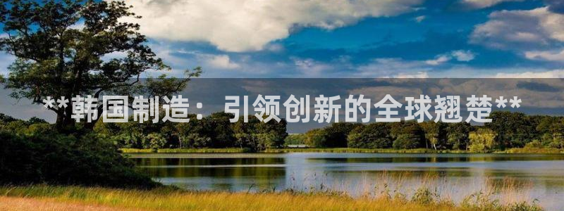 彩神8官网版是正规的吗：**韩国制造：引领创新的全球翘楚**