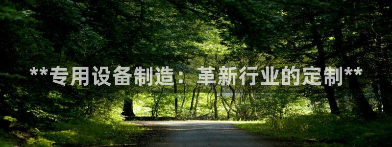 彩神vl购彩大厅：**专用设备制造：革新行业的定制**