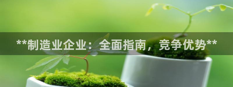 彩神V官网：**制造业企业：全面指南，竞争优势**