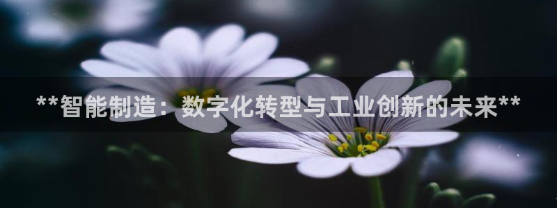 彩神v8app：**智能制造：数字化转型与工业创新的未来**