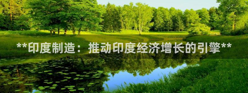 彩神VII官方版：**印度制造：推动印度经济增长的引擎**