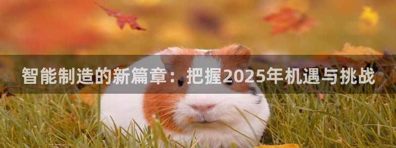 彩神网可以赚钱是真的吗：智能制造的新篇章：把握2025年机遇
