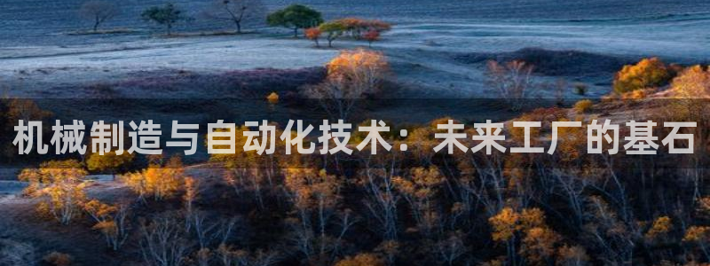 彩神 好 平台：机械制造与自动化技术：未来工厂的基石