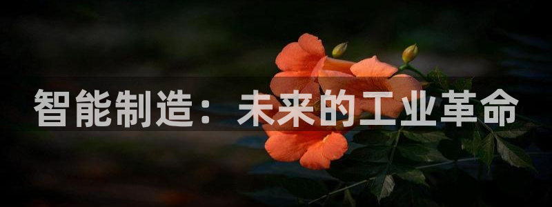 彩神v8购彩大厅登：智能制造：未来的工业革命