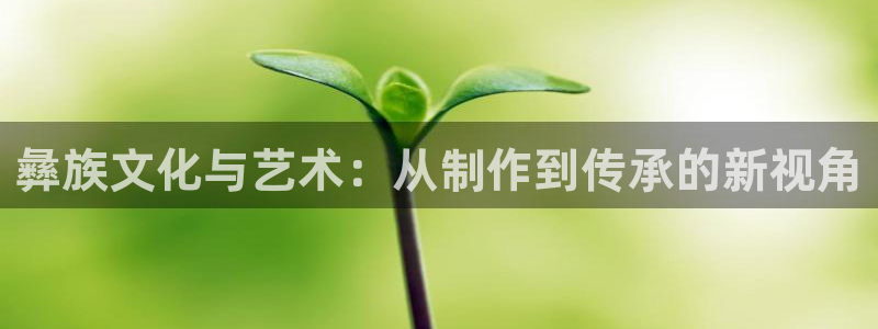 彩神是什么平台的游戏：彝族文化与艺术：从制作到传承的新视角