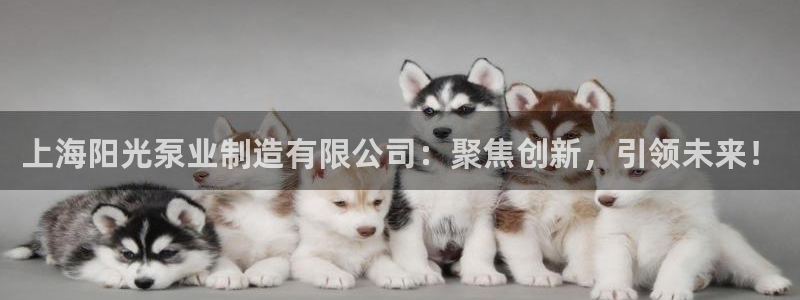 彩神v破解版：上海阳光泵业制造有限公司：聚焦创新，引领未来！