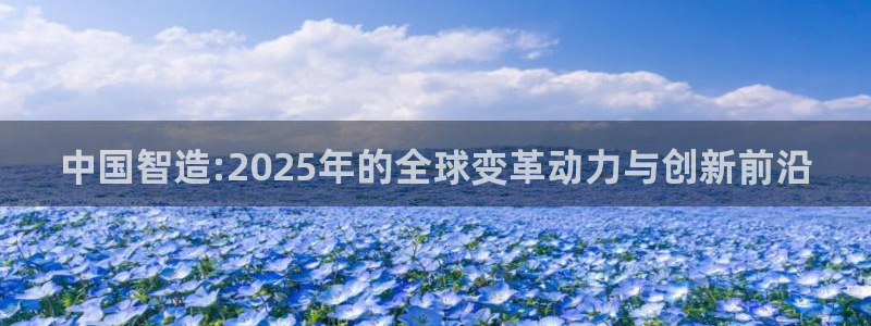 彩神8官网版：中国智造:2025年的全球变革动力与创新前沿