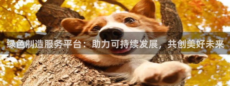 彩神ix是真的吗：绿色制造服务平台：助力可持续发展，共创美好未来