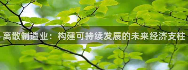 彩神vll首页：离散制造业：构建可持续发展的未来经济支柱