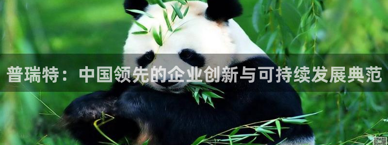 彩神v8下载app：普瑞特：中国领先的企业创新与可持续发展典范