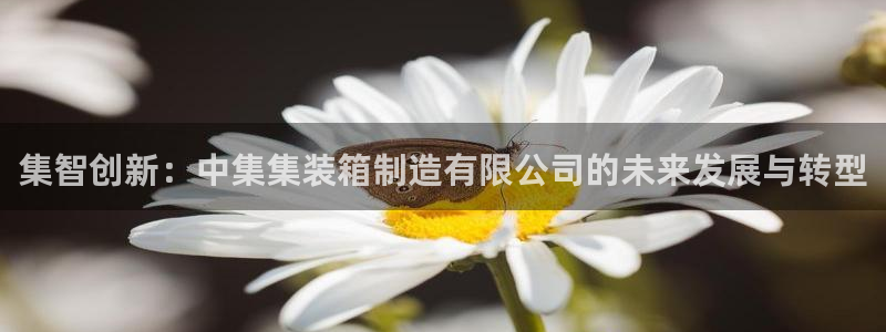 彩神8是正规平台吗知乎