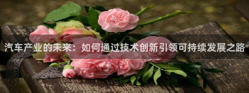 彩神8是正规平台吗安全吗：汽车产业的未来：如何通过技术创新引