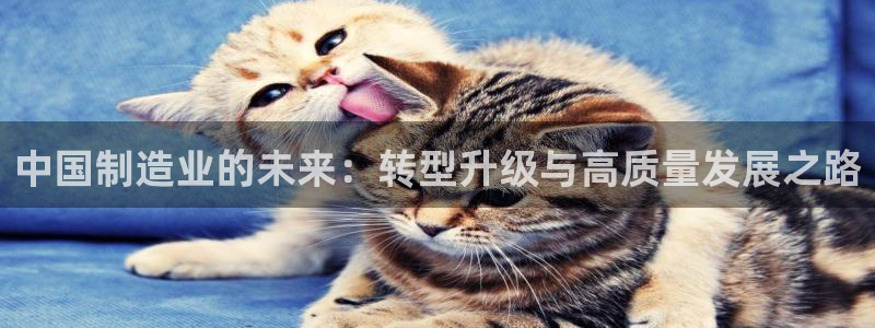彩神官方网站登录是多少：中国制造业的未来：转型升级与高质量发