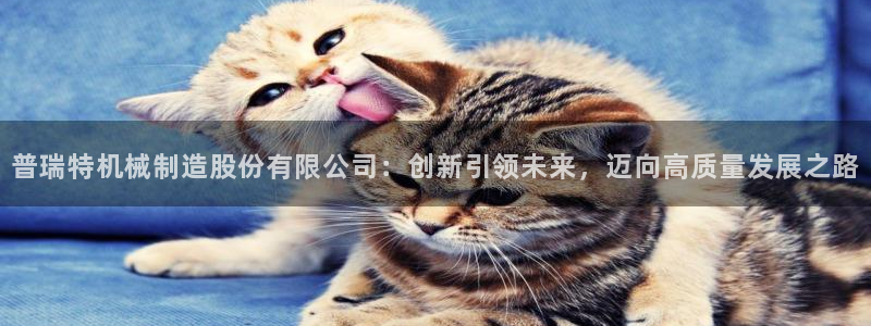 所有彩神购买首页：普瑞特机械制造股份有限公司：创新引领未来，迈向高质量发展之路