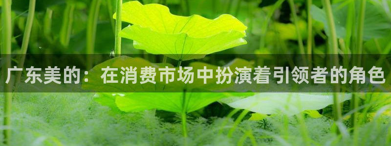 彩神购彩-购彩大厅入口36fr：广东美的：在消费市场中扮演着引领者的角色