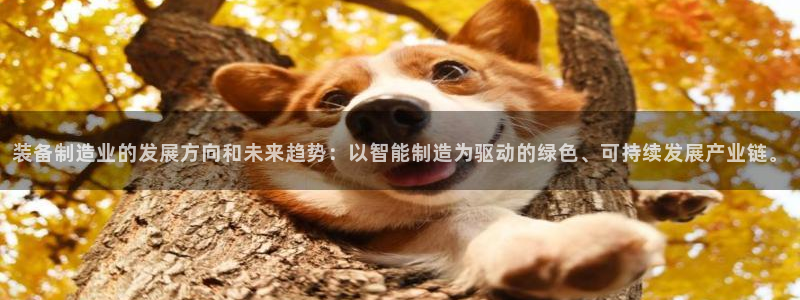 彩神平台可以破解吗：装备制造业的发展方向和未来趋势：以智能制