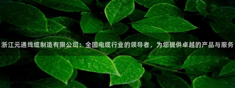 彩神VII购彩中心：浙江元通线缆制造有限公司：全国电缆行业的领导者，为您提供卓越的产品与服务