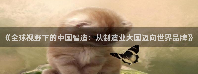 新版彩神v8登录不上去：《全球视野下的中国智造：从制造业大国迈向世界品牌》
