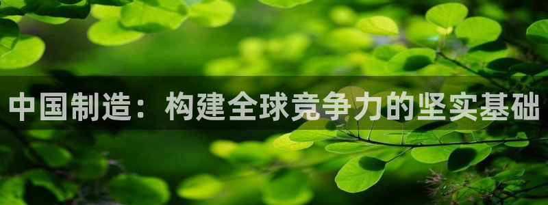 彩神viii官网：中国制造：构建全球竞争力的坚实基础