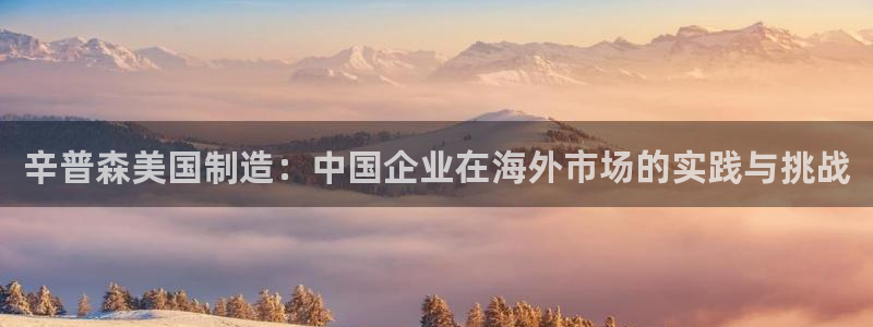 彩神到底能不能赚钱：辛普森美国制造：中国企业在海外市场的实践与挑战