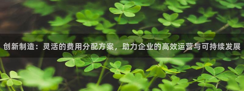 彩神8软件下载：创新制造：灵活的费用分配方案，助力企业的高效