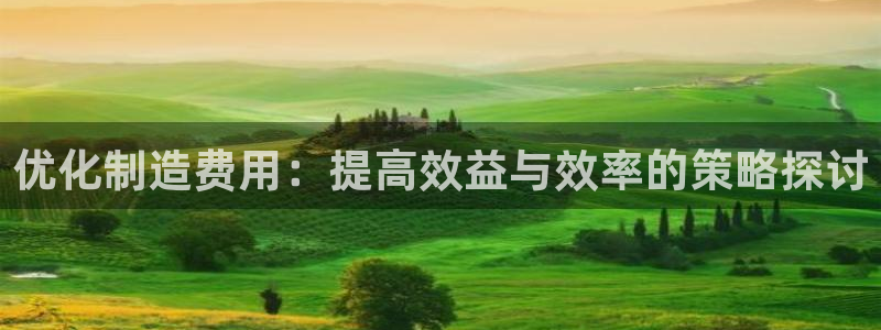 新版彩神v8登录教程：优化制造费用：提高效益与效率的策略探讨