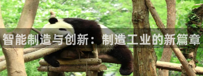 彩神ix官网是哪个公司的：智能制造与创新：制造工业的新篇章