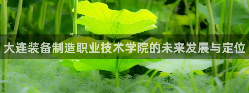 彩神v8下载app5.0：大连装备制造职业技术学院的未来发展与定位