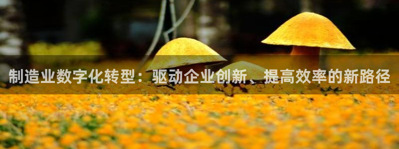 彩神购彩-购彩大厅入口计划群：制造业数字化转型：驱动企业创新