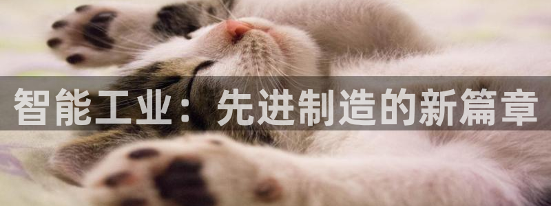 彩神iv能赚钱吗：智能工业：先进制造的新篇章