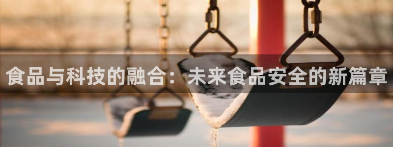 彩神大发云：食品与科技的融合：未来食品安全的新篇章