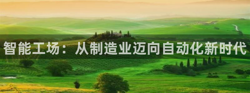 彩神大发黑平台：智能工场：从制造业迈向自动化新时代