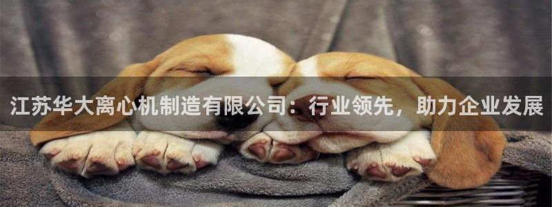 彩神v大众娱乐