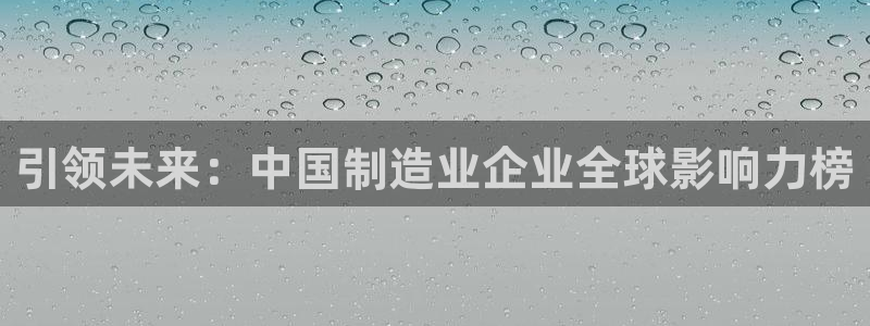彩神怎么才能赢：引领未来：中国制造业企业全球影响力榜