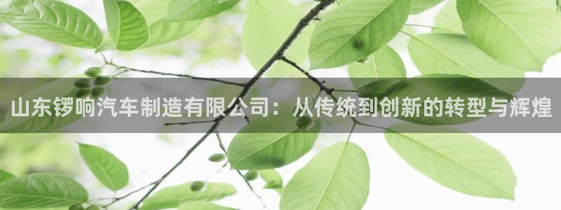 彩神V购彩大厅：山东锣响汽车制造有限公司：从传统到创新的转型与辉煌