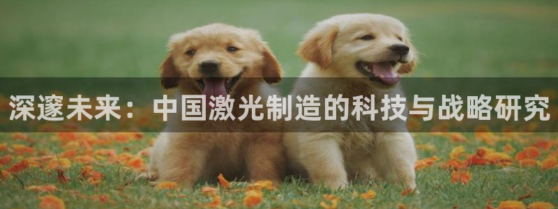 彩神ix能赚钱吗：深邃未来：中国激光制造的科技与战略研究