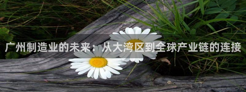 彩神官方邀请码是多少：广州制造业的未来：从大湾区到全球产业链的连接