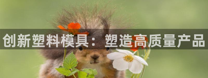 彩神ll能赚钱吗：创新塑料模具：塑造高质量产品