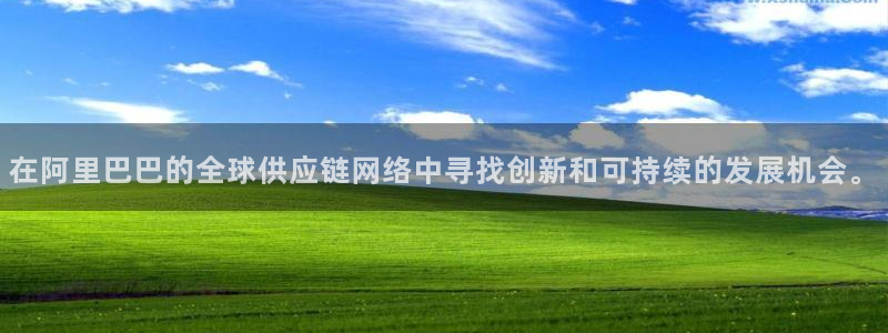 彩神viii是正规平台吗?：在阿里巴巴的全球供应链网络中寻找创新和可持续的发展机会。