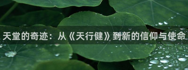 彩神vⅲ下载安装