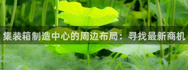 彩神v|