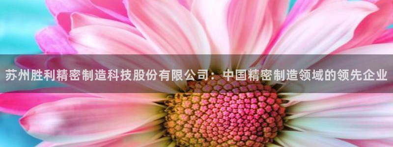 彩神Vll购彩大厅