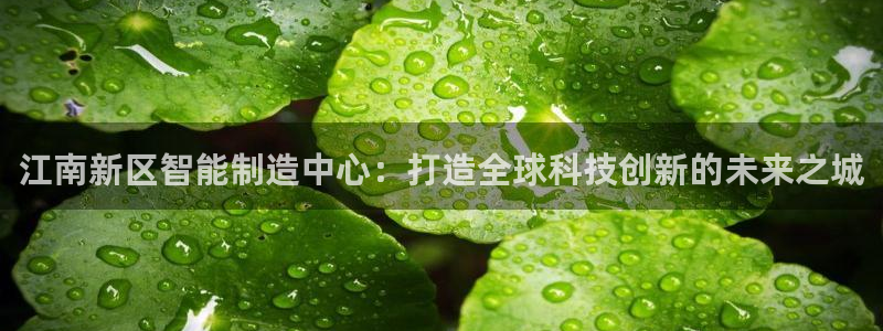 彩神8官网500