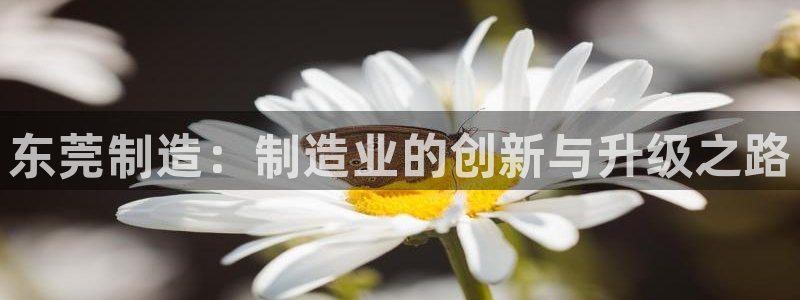 彩神新微聊：东莞制造：制造业的创新与升级之路