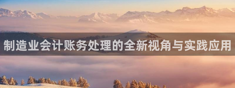彩神数码科技有限公司：制造业会计账务处理的全新视角与实践应用