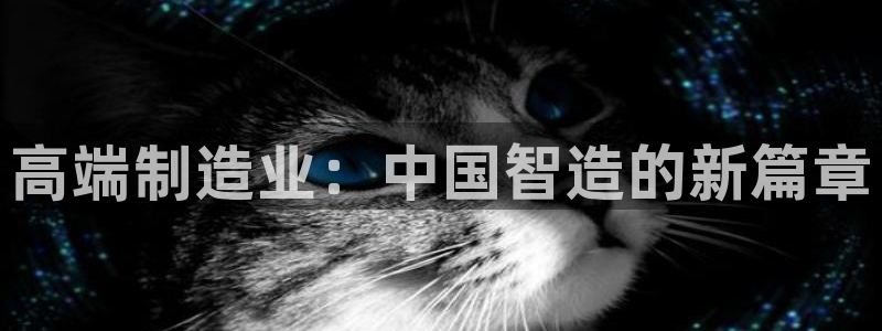 彩神8彩平台客服：高端制造业：中国智造的新篇章