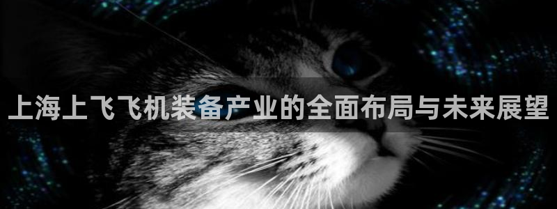 彩神平台注册登录：上海上飞飞机装备产业的全面布局与未来展望