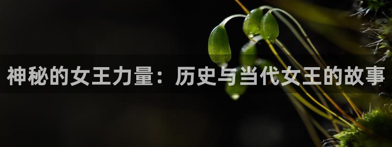 彩神旗下有哪些平台可以玩：神秘的女王力量：历史与当代女王的故事